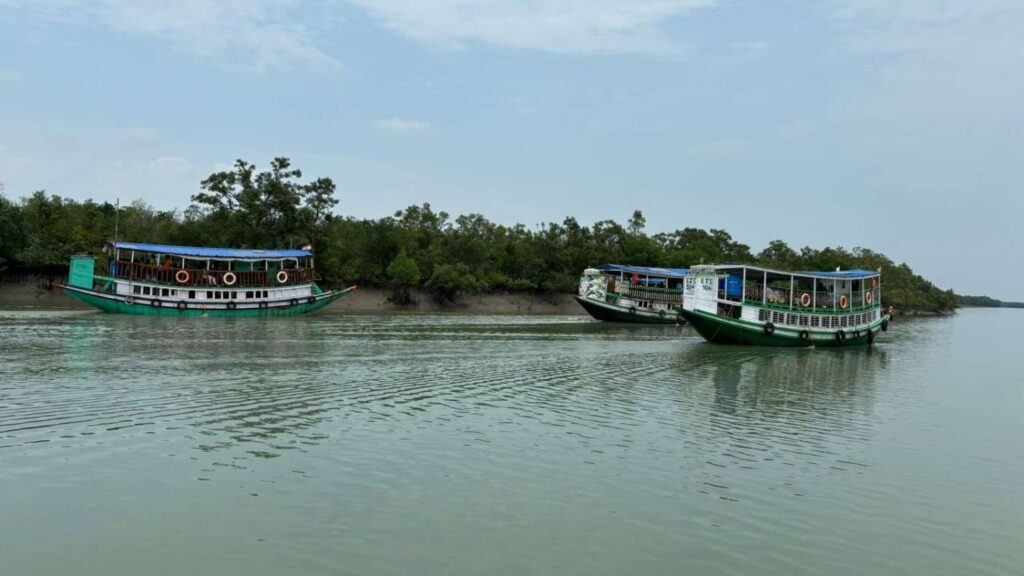 Sundarbans Mangrove Forest