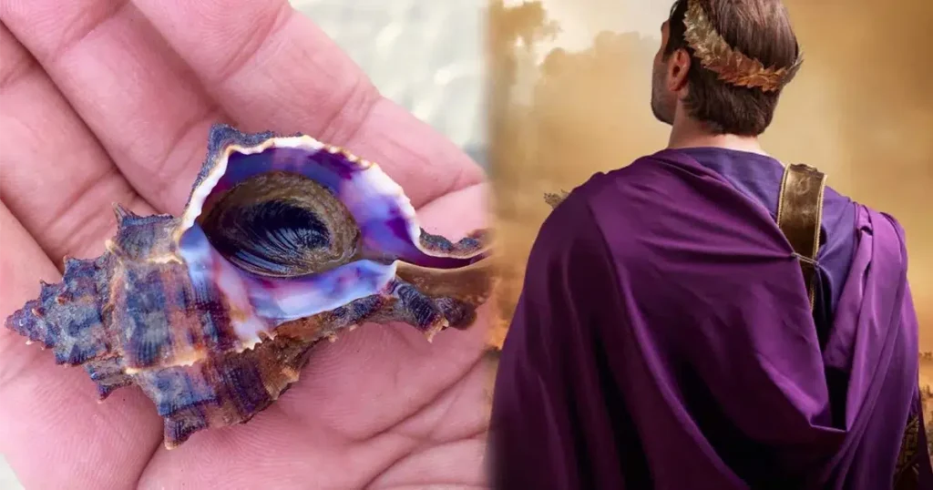 Tyrian Purple Dye