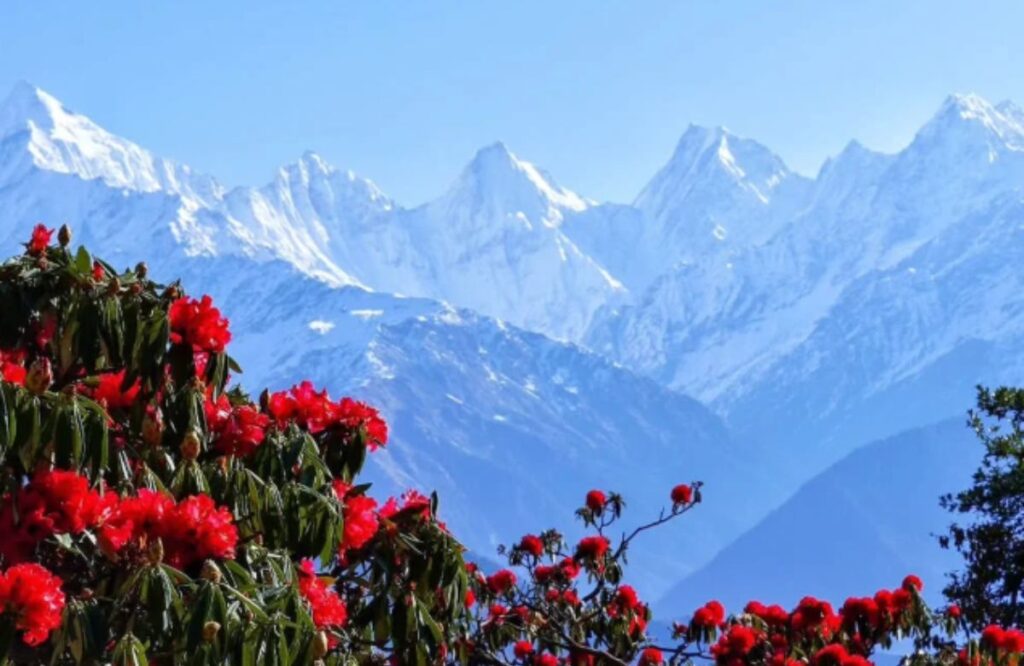 Munsiyari Summer Travel