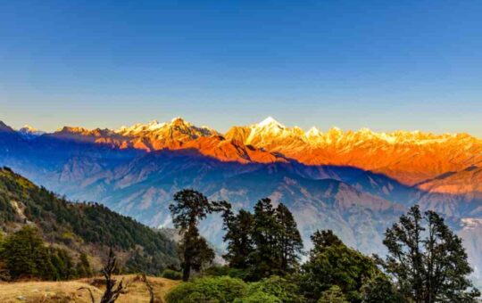 Munsiyari Summer Travel