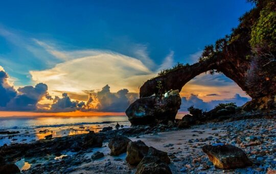Neel Island Travel Guide