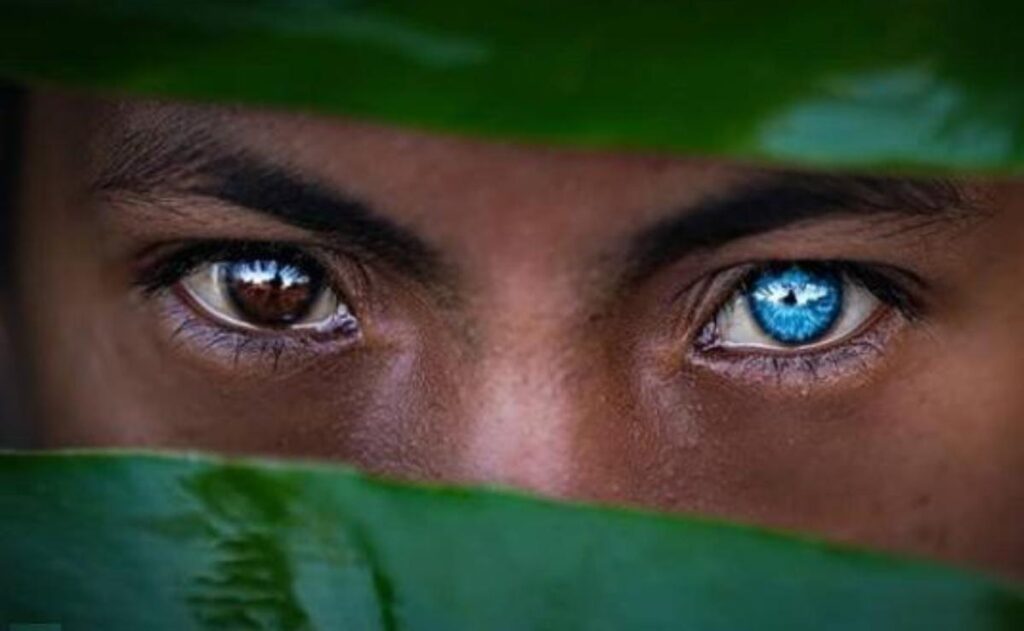 Blue Eyes Buton Tribe