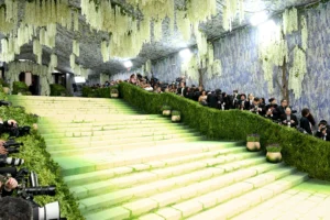 Met Gala 2026 Kerala Carpet