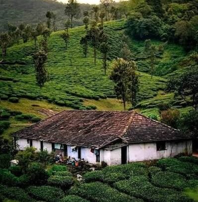 Nelliyampathy Travel