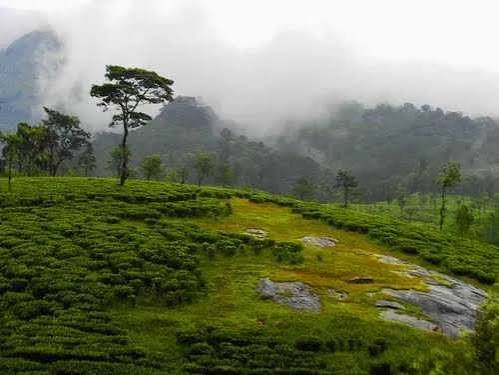 Nelliyampathy Travel