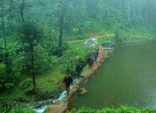Nelliyampathy Travel